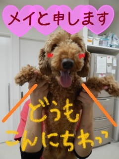 DSCN8112.jpg