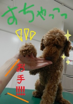 DSCN8116.jpg