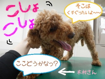 DSCN8117.jpg