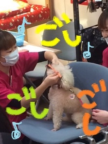 １２月講習会３.jpg