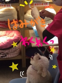 １２月講習会４.jpg