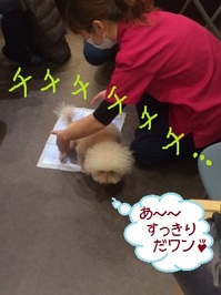 １２月講習会５.jpg