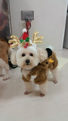20141220_134247.jpg