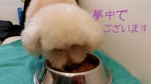 20150108_132811.jpg