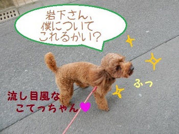 DSCN8344.jpg
