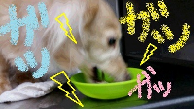 20150224_194433.jpg