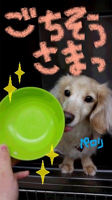 20150224_194530.jpg
