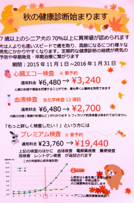 DSCN9993.jpg