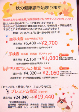 DSCN9994.jpg