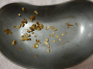 DSCN0177.jpg