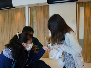 P1330521.jpg