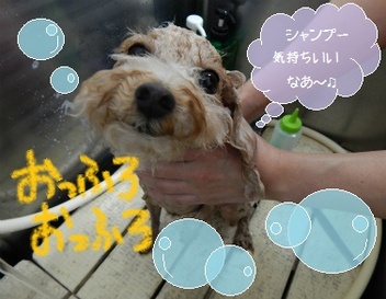 DSCN0070.jpg