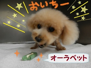 DSCN0080.jpg