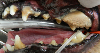DSCN0019.jpg