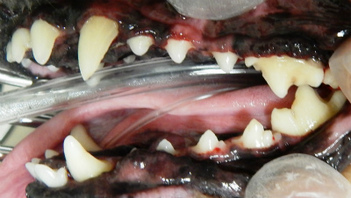 DSCN0023.jpg