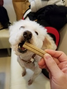 20190209_132217.jpg