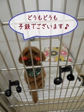 DSCN3123.jpg