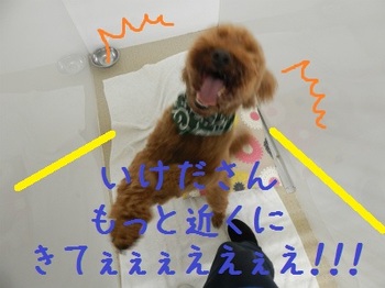DSCN3126.jpg