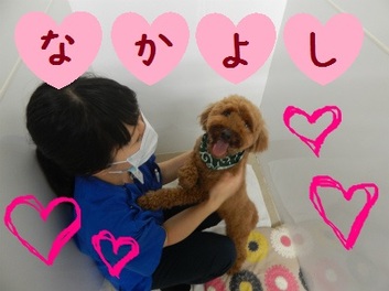 DSCN3140.jpg