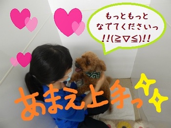 DSCN3142.jpg