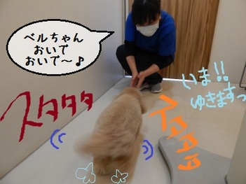 DSCN3405.jpg