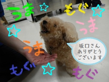 DSCN3437.jpg