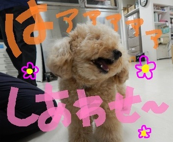 DSCN3440.jpg